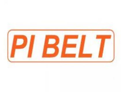 Immagine per il produttore PI BELT