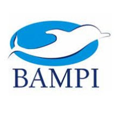 Immagine per il produttore BAMPI