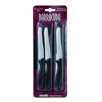 Immagine di AUSONIA 61566 BARRUCUDA SET 6 COLTELLI DA TAVOLA 11 CM